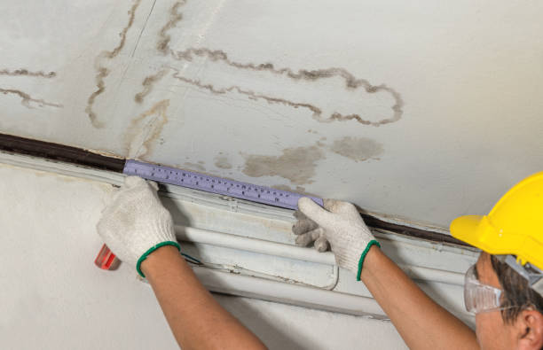 Reliable Burst Pipe Cleanup contractor in Homewood, CA by Water Damage Irwin